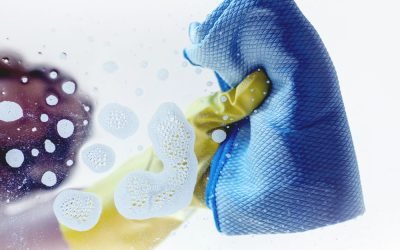 Transform Your Home with Professional House Cleaning Service in Delaware