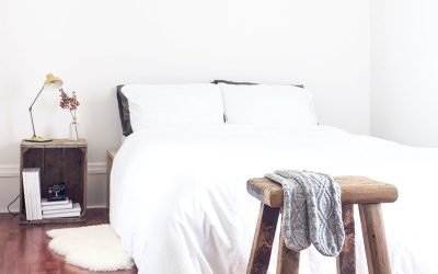 The Best House Cleaning Professionals in Delaware: Tips, Tricks, and Services